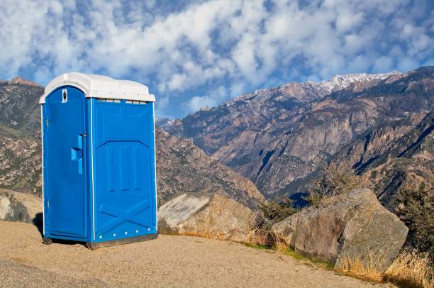 Best Sanitation services for porta potties  in Dryden, MI